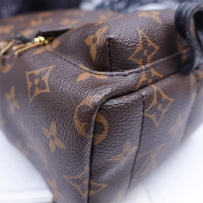 Pre-owned Louis Vuitton Palm Spring Mini Monogram Coated Canvas Backpack