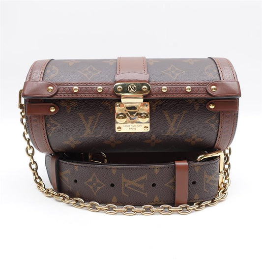 Pre-owned Louis Vuitton Papillon Trunk Monogram Coated Canvas Shoulder Bag