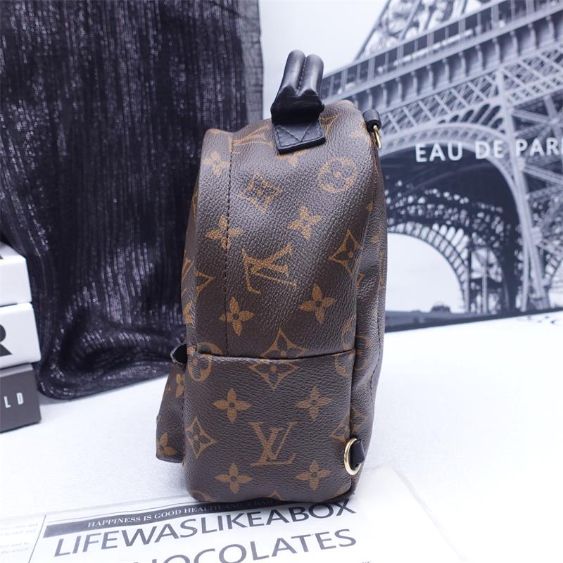 Pre-owned Louis Vuitton Palm Spring Mini Monogram Coated Canvas Backpack