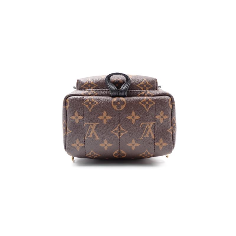 Pre-owned Louis Vuitton Monogram Palm Springs Coated Canvas Backpack