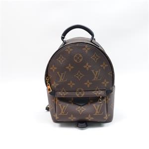 Louis Vuitton Palm Spring Mini Monogram Brown Canvas Backpack
